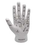 7" Palmistry Hand