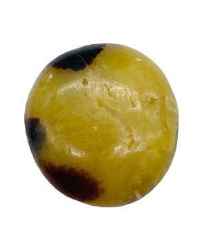 Jasper, Septarian palm stone