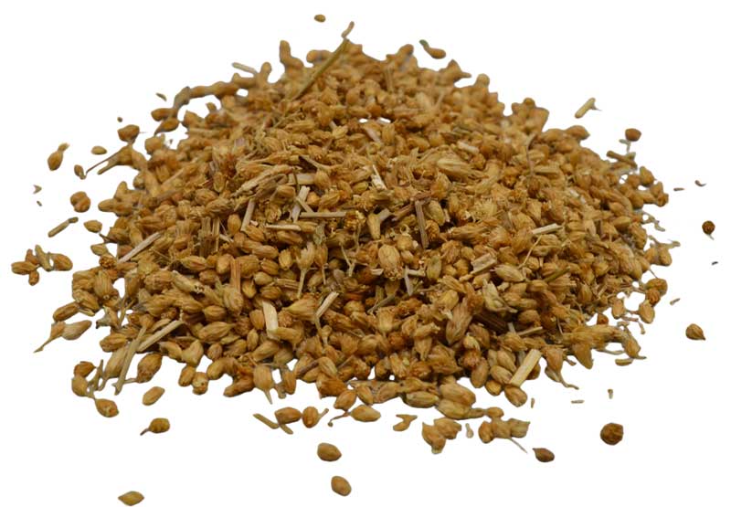 Yarrow Flower 2oz (Achilea millefolium)