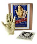 5" Palmistry Hand